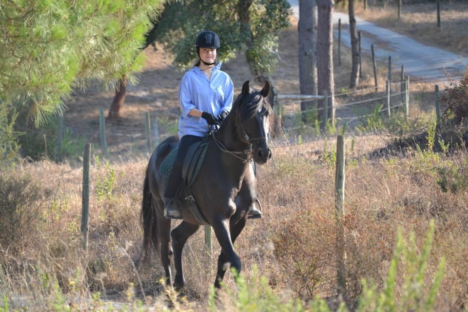 Coudelaria Vale Pau Βίλα Coruche Δωμάτιο φωτογραφία