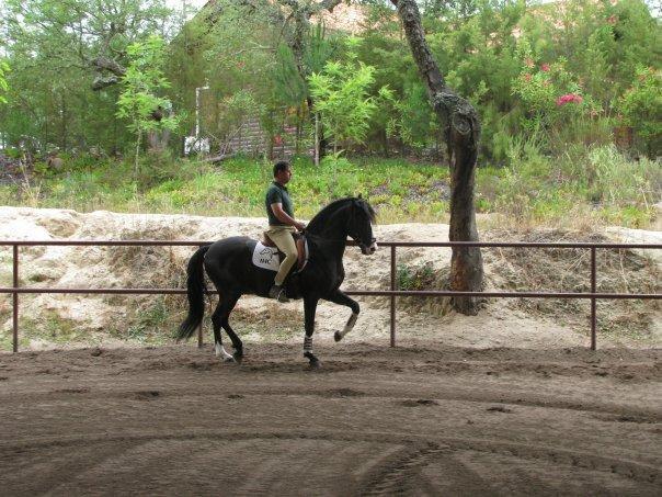 Coudelaria Vale Pau Βίλα Coruche Δωμάτιο φωτογραφία