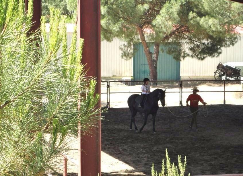 Coudelaria Vale Pau Βίλα Coruche Δωμάτιο φωτογραφία