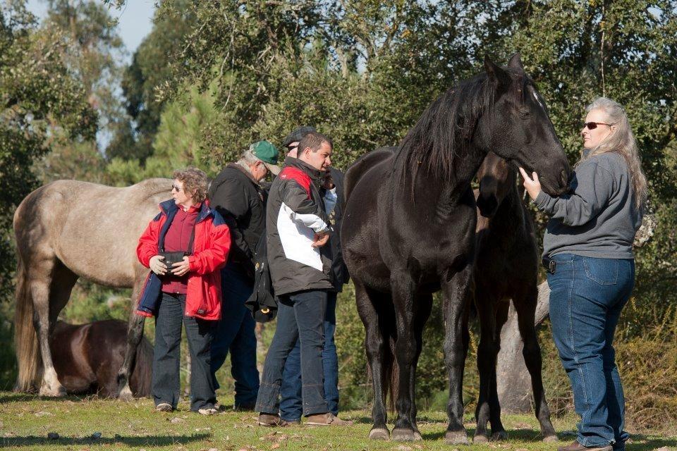 Coudelaria Vale Pau Βίλα Coruche Εξωτερικό φωτογραφία